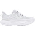 Running sur Grenoble : Chaussures Under Armour Infinite Pro
