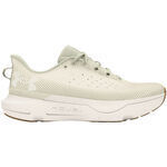 Chaussures Under Armour Infinite Pro