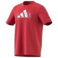 Tee-shirts sur Grenoble : T-shirt adidas T-shirt Logo Heat Graphic manches courtes