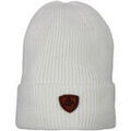 Bonnets sur Grenoble : Bonnet Peak Mountain Bonnet MAITRE