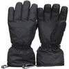 Gants Peak Mountain Gants de ski MONSTARA