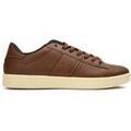 Baskets Penguin Steadman Formateurs Baskets homme sur Grenoble : Baskets Penguin Steadman Formateurs