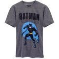 T-shirt Dc Comics Batman T-shirt &agrave; manches courtes Gris