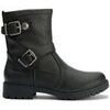 Bottines Blowfish Malibu Raydon Des Bottes