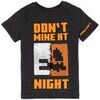 T-shirt enfant Minecraft Don'T Mine At Night Sequin Graphic T-shirt &agrave; manches courtes Gris