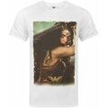 T-shirt Dc Comics Wonder Woman T-shirt &agrave; manches courtes Blanc Grenoble