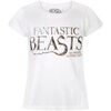T-shirt enfant Les Animaux Fantastiques T-shirt &agrave; manches courtes Blanc