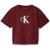 T-shirt enfant Calvin Klein Jeans Festive Graphic Ss