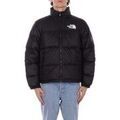 Vestes sur Grenoble : Blouson The North Face NF0A3C8D