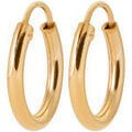 Boucles d'oreille sur Grenoble : Boucles oreilles Brillaxis Cr&eacute;oles plaqu&eacute; or 14 mm fil rond 2 mm Jaune