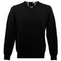 Pulls/Sweat sur Grenoble : Pull Real Cashmere Pull pegashoes-sas Collov Toppe