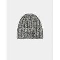 Bonnets sur Grenoble : Bonnet Polar Skate Co -