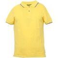 Tee-shirts sur Grenoble : T-shirt Shockly -