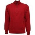 Pull Kangra -