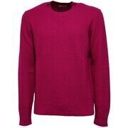 Pull Paolo Pecora -