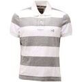 Polos sur Grenoble : Polo Hydrogen -