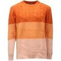 Pulls/Sweat sur Grenoble : Pull Wool&co -
