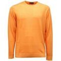 Pulls/Sweat sur Grenoble : Pull Daniele Fiesoli -