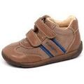 Randonn&eacute;e sur Grenoble : Chaussures enfant Falcotto - Marron