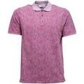 Polos sur Grenoble : Polo Alpha Studio -