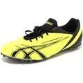 Chaussures Asics - Grenoble