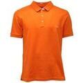 Polos sur Grenoble : Polo Fay -
