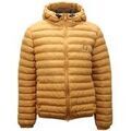 Veste Invicta - Grenoble