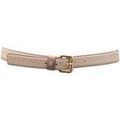 Ceintures sur Grenoble : Ceinture Borbonese -