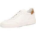 Baskets homme sur Grenoble : Baskets basses Alviero Martini -