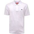 Polos sur Grenoble : Polo Diesel -