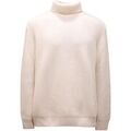 Pulls/Sweat sur Grenoble : Pull Hogan -