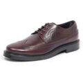 Chaussures de ville homme sur Grenoble : Derbies Tod's -