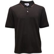 Polo Alpha Studio -