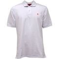 Polo Gallo - Polos sur Grenoble : Polo Gallo -