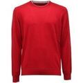 Pull Ferrante -