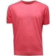 Pull Kangra -