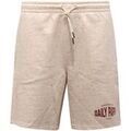 Shorts/Bermuda sur Grenoble : Short Daily Paper -
