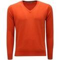 Pull Kangra -