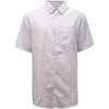 Chemise Dsquared -