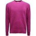 Pulls/Sweat sur Grenoble : Pull Become -
