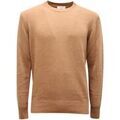Pulls/Sweat sur Grenoble : Pull Become -