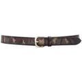 Ceintures sur Grenoble : Ceinture Orciani -
