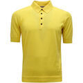 Polos sur Grenoble : Polo Goes -