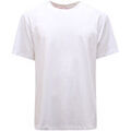 Tee-shirts sur Grenoble : T-shirt Gcds -