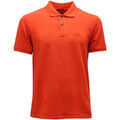 Polos sur Grenoble : Polo C.p. Company -