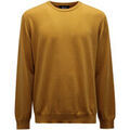 Pull Alpha Studio -