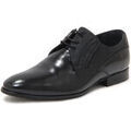 Chaussures de ville homme sur Grenoble : Derbies Carlo Pignatelli -