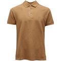 Polo Etro -