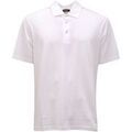 Polo Herno - Grenoble
