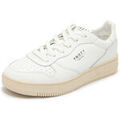 Baskets basses Y Not? - Grenoble